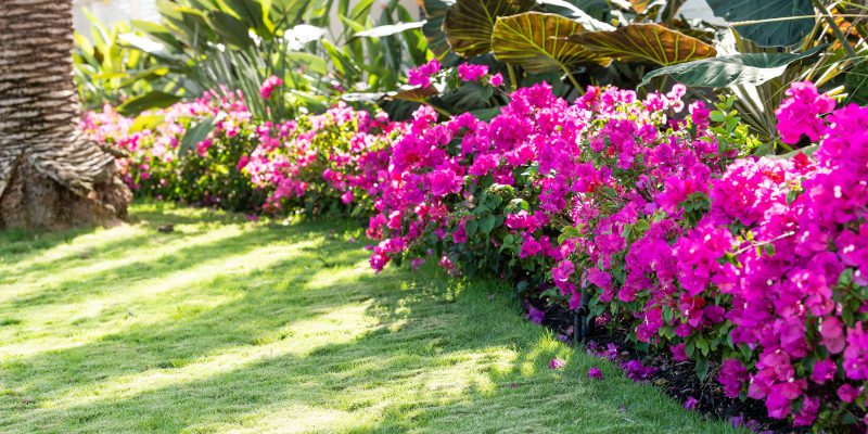 Development Erosion Control in Naples, Florida