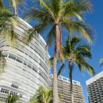 Condo Erosion Control