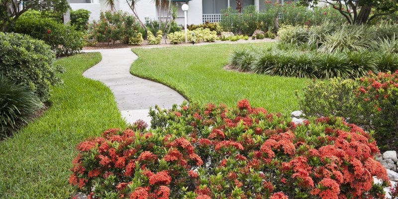 Landscape Project Bidding in Cape Coral, Florida
